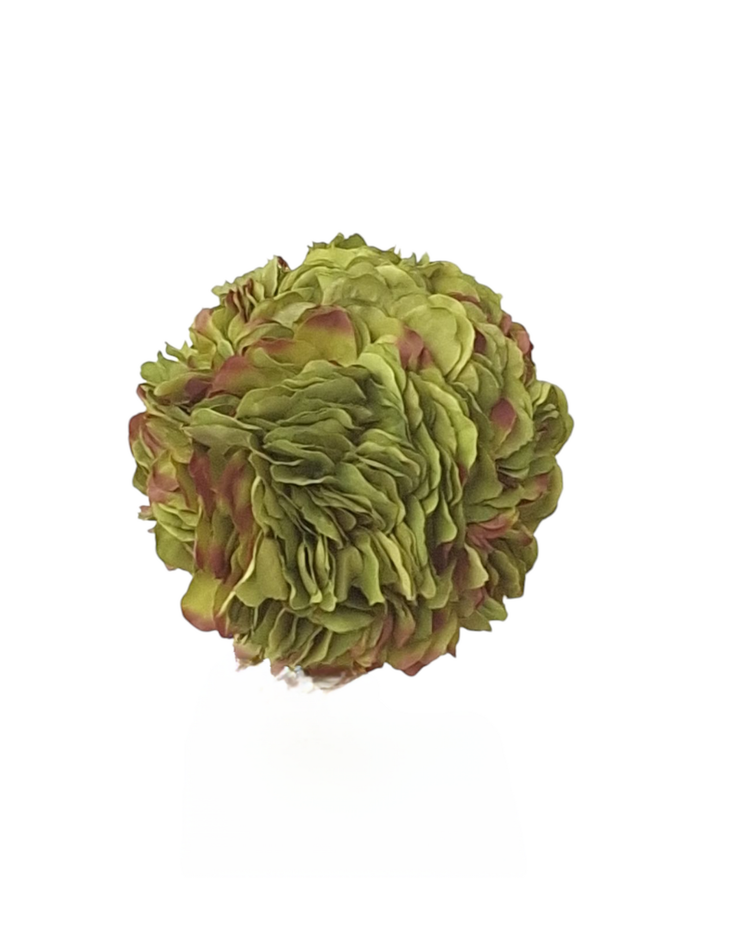 BG Green Hydrangea Object