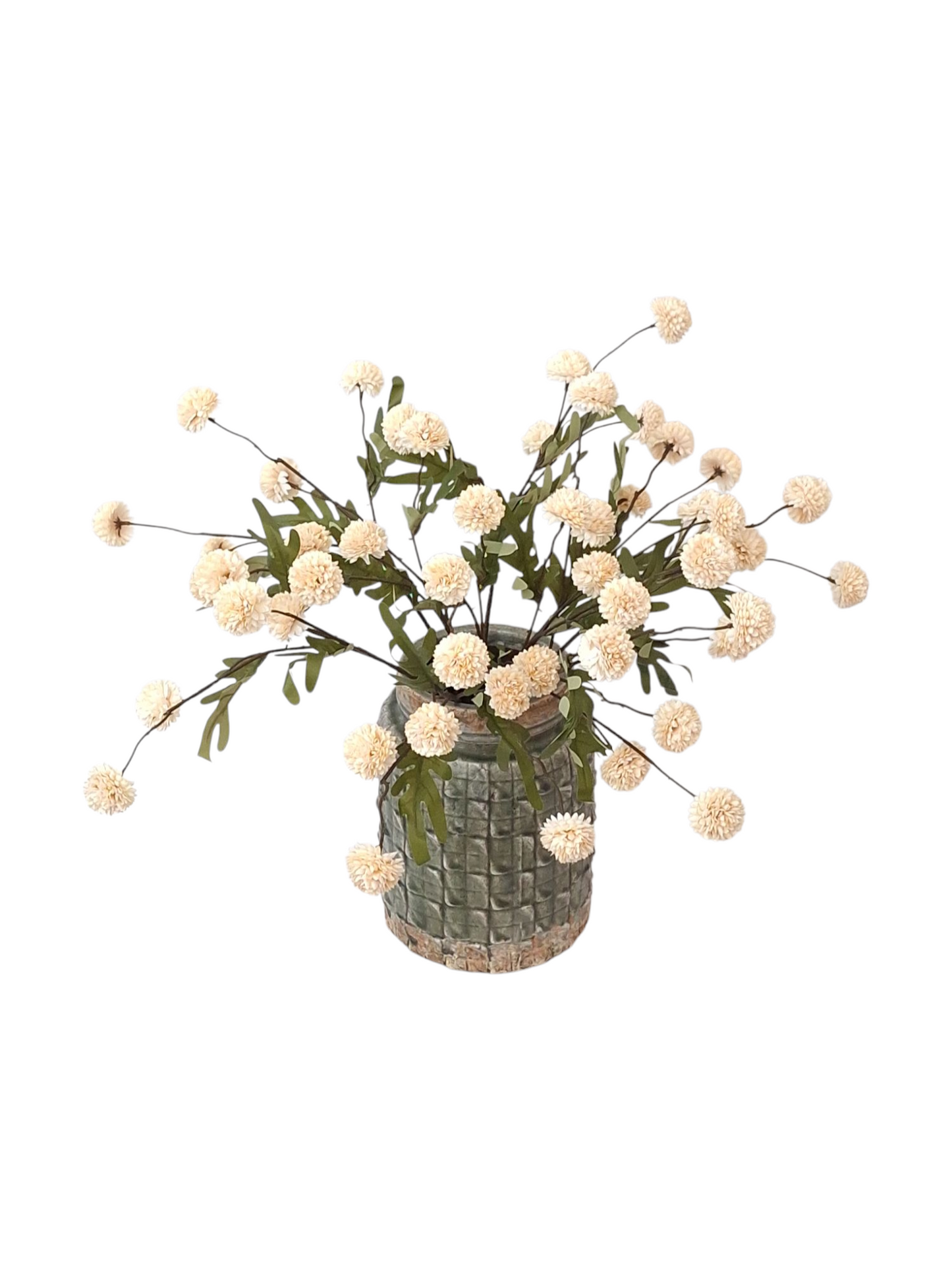 BG Little Pompom Cream