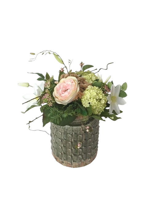BG Spring Sweetrope