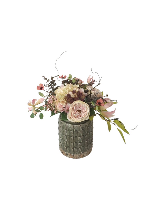 BG Spring Sweetleaf