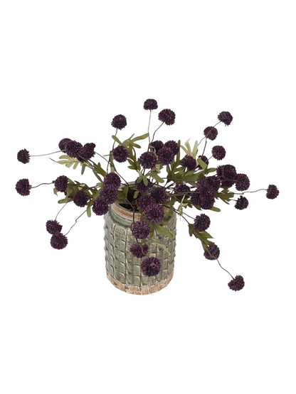 BG Little PomPom Deeppurple