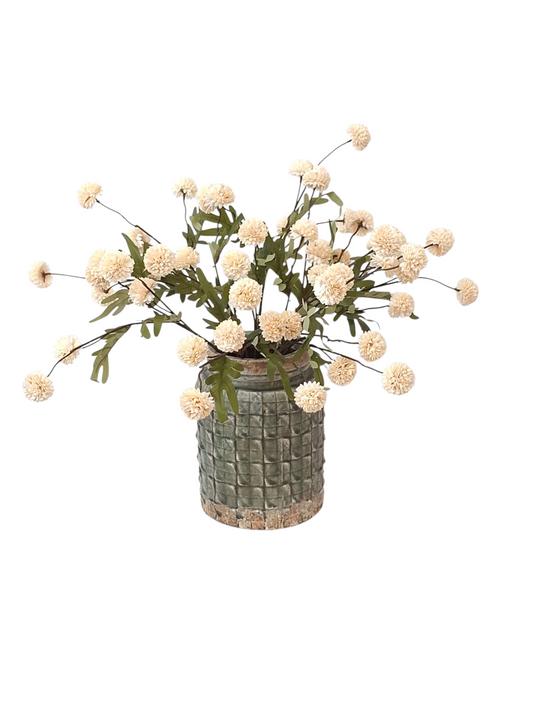 BG Little Pompom Cream